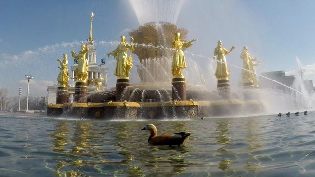 Фонтан Дружба народов на ВДНХ в Москве Фонтан Дружба народов на ВДНХ в Москве