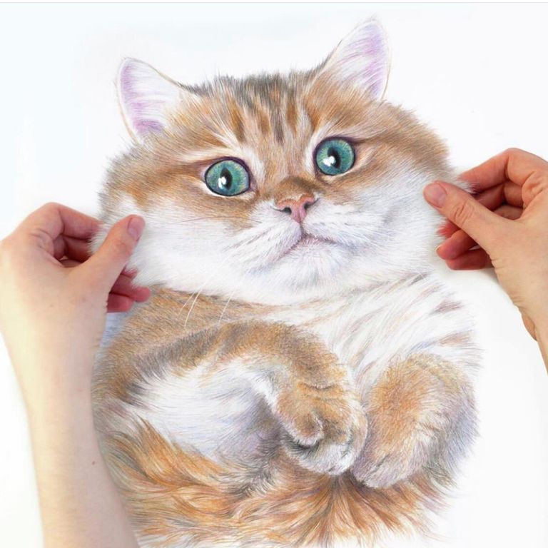 Портрет кота Хосико Портрет кота Хосико