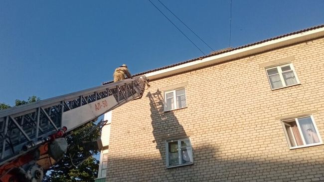 Сотрудники МЧС в городе Губкин на улице Белинского спасли стрижа, запутавшегося в верёвках Сотрудники МЧС в городе Губкин на улице Белинского спасли стрижа, запутавшегося в верёвках