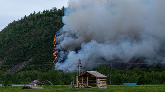 Лесной пожар в районе поселка Эссо Быстринского района Камчатского края Лесной пожар в районе поселка Эссо Быстринского района Камчатского края