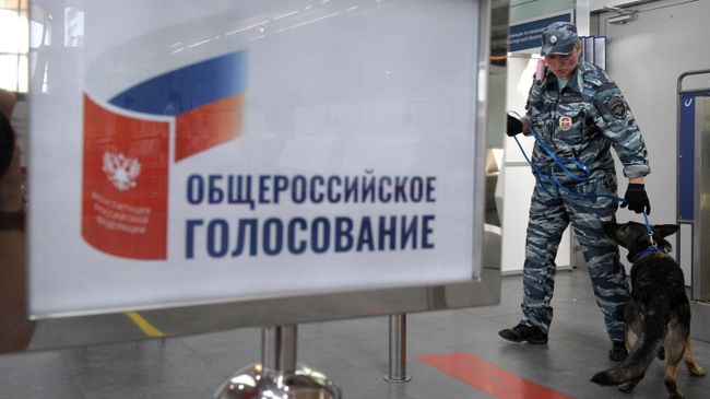 Сотрудник полиции с собакой  во время голосования по внесению поправок в Конституцию РФ на избирательном участке в аэропорту Санкт-Петербурга Пулково