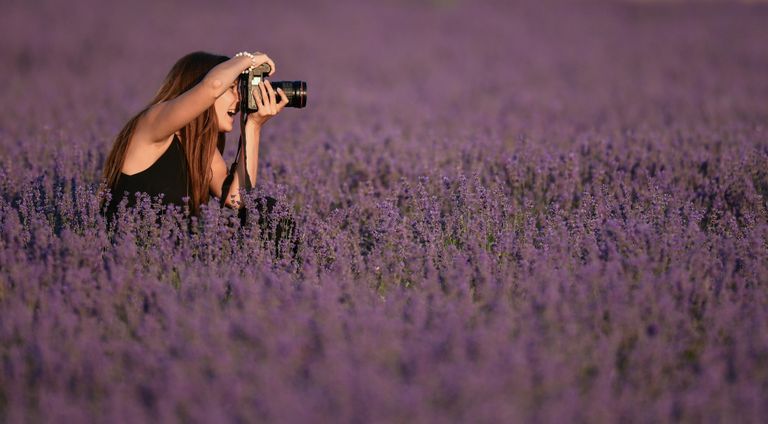 Девушка фотографирует на лавандовом поле в Крыму Девушка фотографирует на лавандовом поле в Крыму