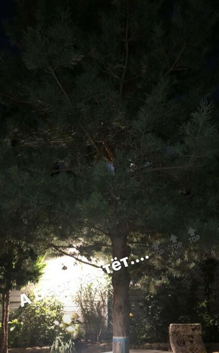 Stories в аккаунте Владимира Быстрова в Instagram.