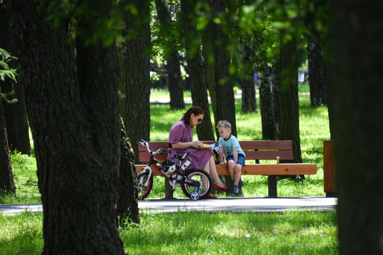 Благоустройство парка Дружбы Благоустройство парка Дружбы