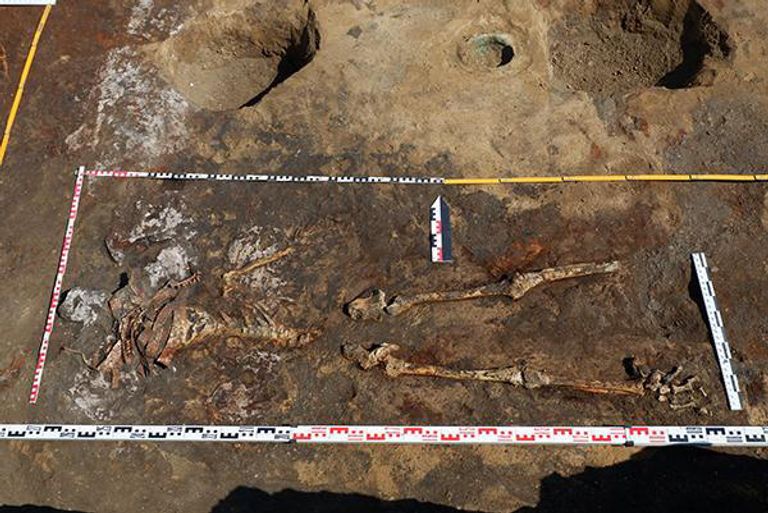 Захоронение амазонки в Воронежской области Захоронение амазонки в Воронежской области