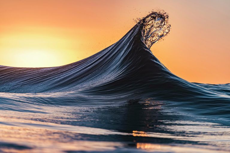 Karl Dalyell. Работа победителя конкурса фотографии Sony Alpha Awards 2020 Karl Dalyell. Работа победителя конкурса фотографии Sony Alpha Awards 2020
