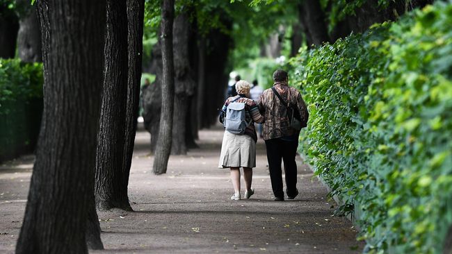Горожане отдыхают в Летнем саду в Санкт-Петербурге Горожане отдыхают в Летнем саду в Санкт-Петербурге