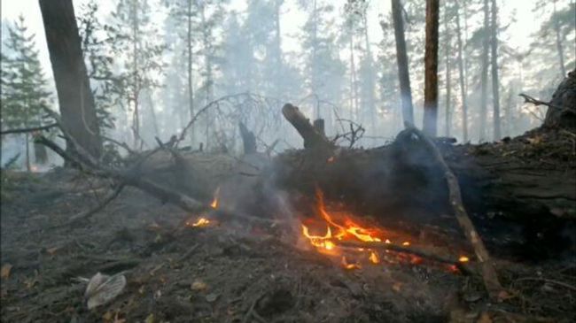Взрывной метод тушения: В Якутии борются с лесными пожарами Взрывной метод тушения: В Якутии борются с лесными пожарами