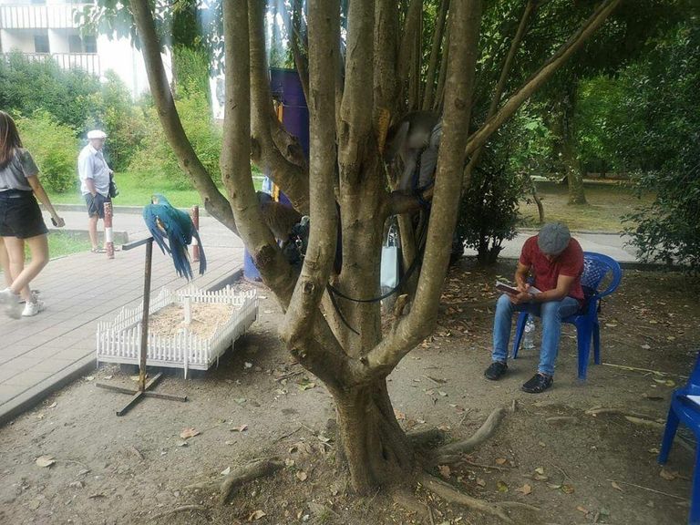 Рейд по выявлению фактов незаконного оказания фотоуслуг с животными в Сочи