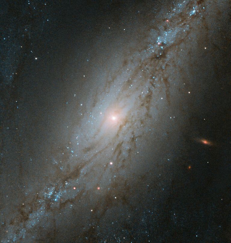 Галактика NGC 7513 в созвездии Скульптор Галактика NGC 7513 в созвездии Скульптор