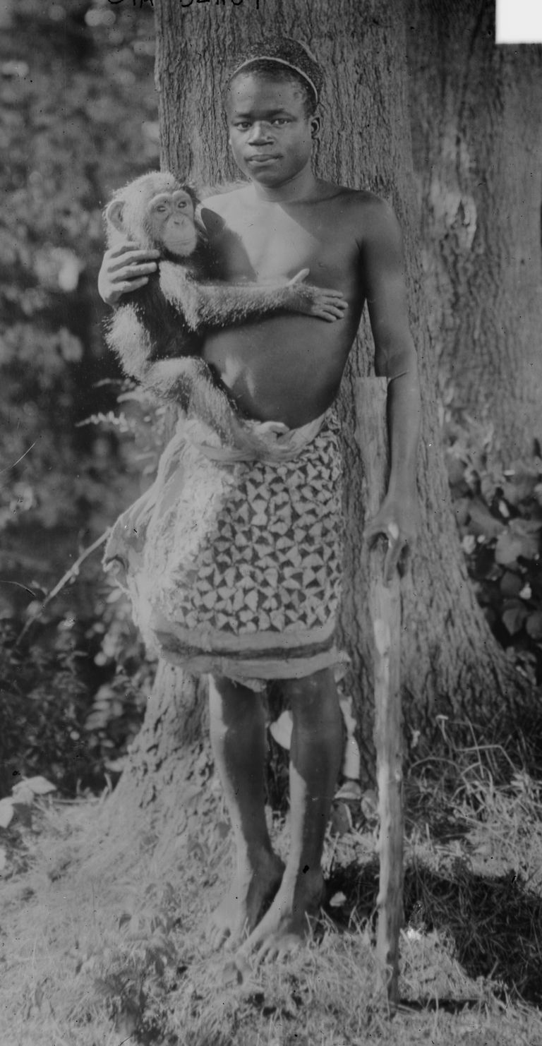 Фотография Ота Бенги, сделанная в зоопарке Бронкса в 1906 году Фотография Ота Бенги, сделанная в зоопарке Бронкса в 1906 году