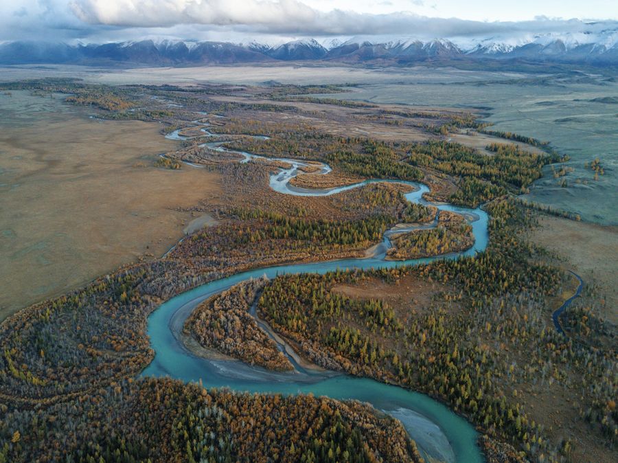 Алтай. Курайская степь Алтай. Курайская степь