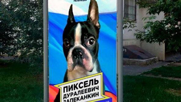 Предвыборный плакат пса по кличке Пиксель на одной из улиц Ростова-на-Дону Предвыборный плакат пса по кличке Пиксель на одной из улиц Ростова-на-Дону - РИА Новости, 1920, 06.08.2020