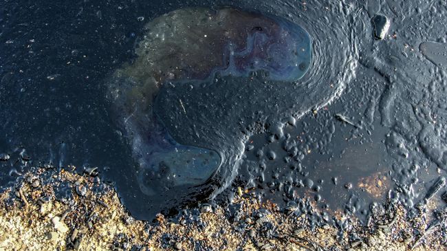 Разлив нефти Разлив нефти