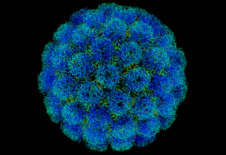 Symian Virus Symian Virus