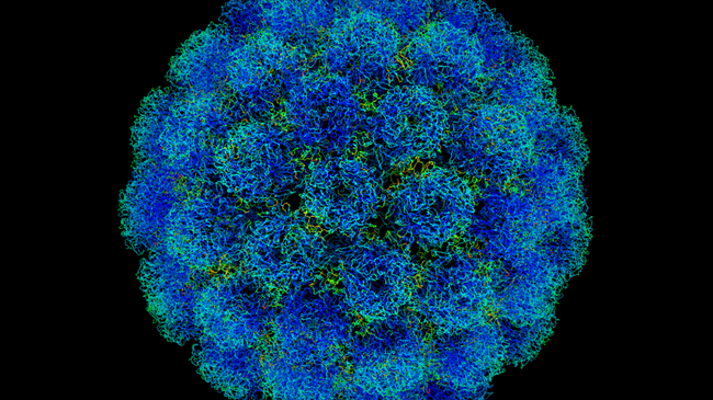Virus Virus