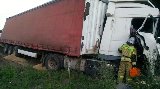 ДТП в Мишкинском районе Курганской области ДТП в Мишкинском районе Курганской области