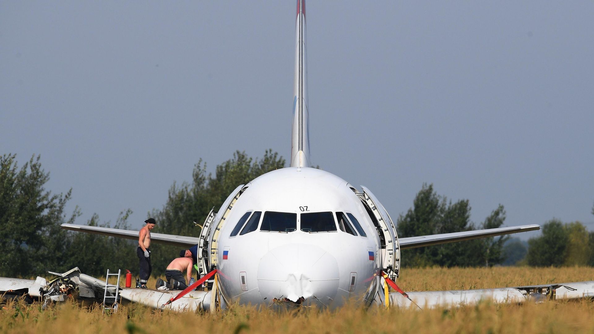 Самолет Airbus А321 авиакомпании Уральские авиалинии в кукурузном поле в районе деревни Рыбаки в Раменском районе Московской области - РИА Новости, 1920, 17.03.2023