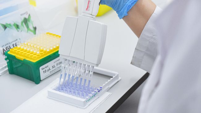 Испытания и производство вакцины от COVID-19 в лаборатории центра эпидемиологии и микробиологии имени Н.Ф. Гамалеи
