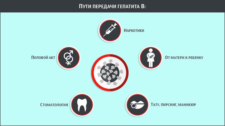 Пути передачи гепатита B