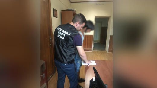 Задержание водителя, совершившего наезд на девочку и скрывшегося с места ДТП в Кочубеевском районе Задержание водителя, совершившего наезд на девочку и скрывшегося с места ДТП в Кочубеевском районе - РИА Новости, 1920, 15.08.2020