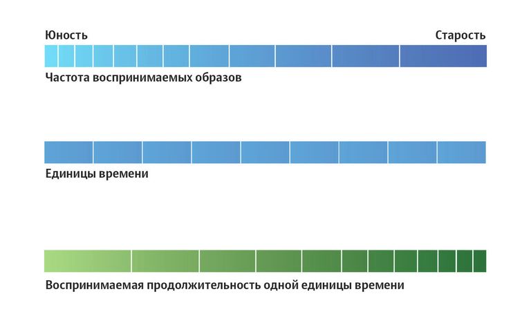 Изменения в восприятии времени с возрастом Изменения в восприятии времени с возрастом