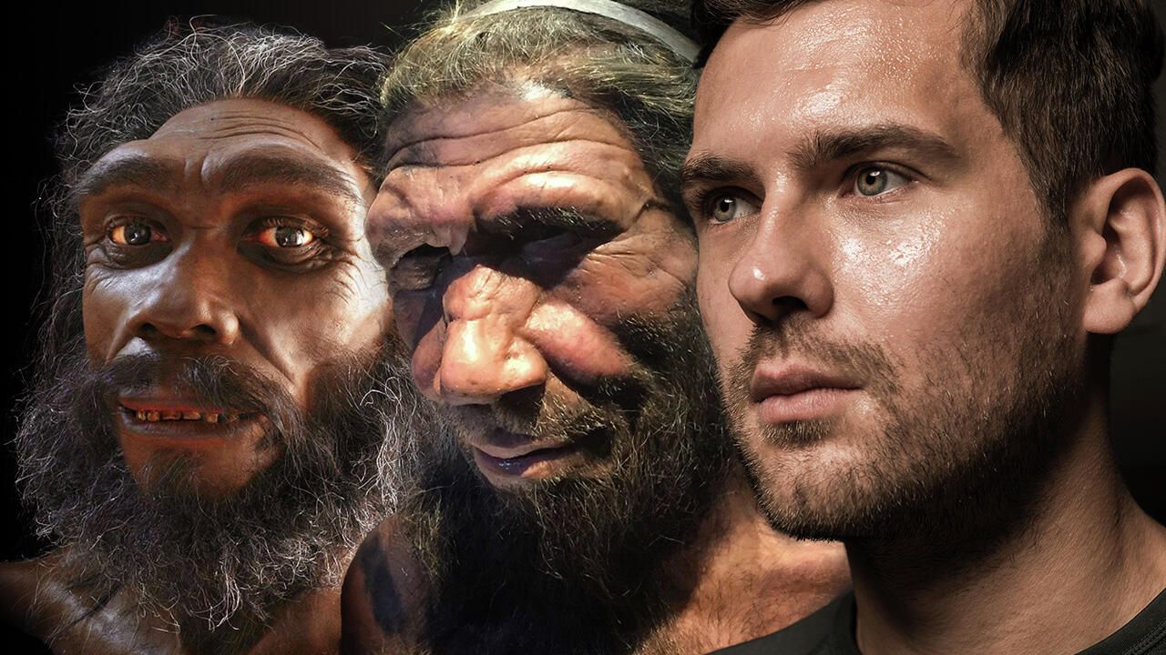 Неизвестные предки Homo sapiens - РИА Новости, 1920, 30.10.2020