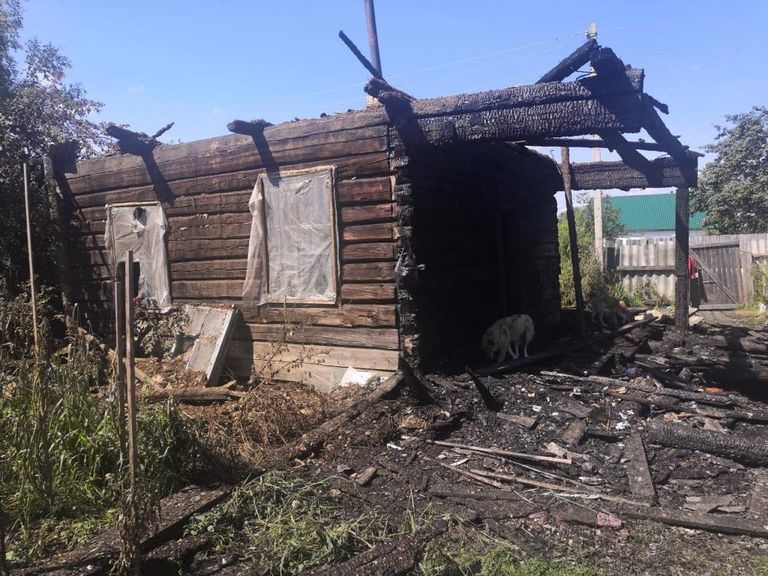 Кошка спасла спящих хозяев при ночном пожаре дома в п. Заречье, г. Биробиджана, Еврейской автономной области Кошка спасла спящих хозяев при ночном пожаре дома в п. Заречье, г. Биробиджана, Еврейской автономной области