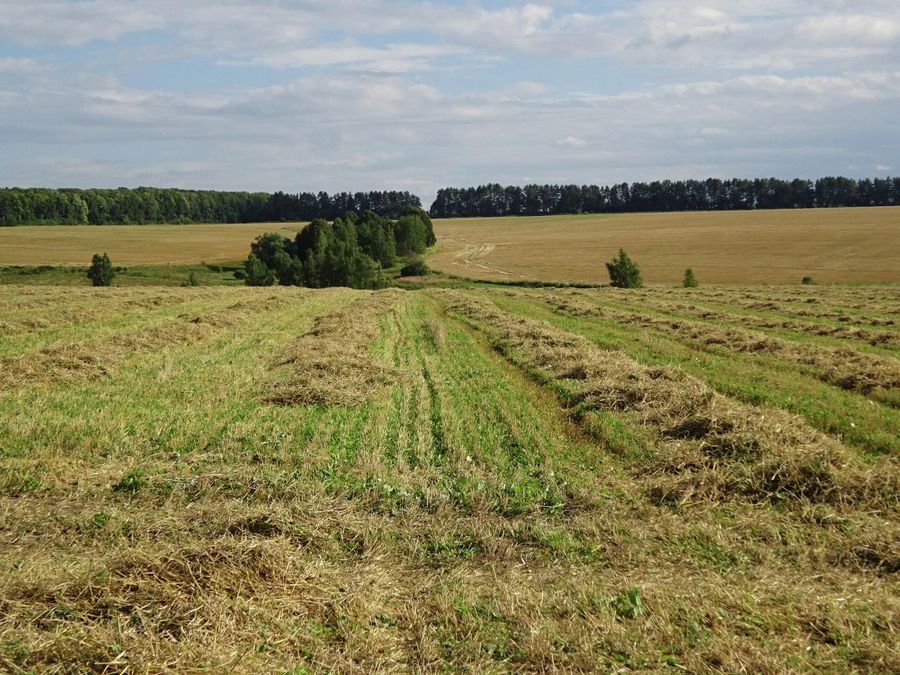 Окрестности Венёва Окрестности Венёва