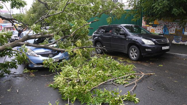 Последствия урагана во Владивостоке