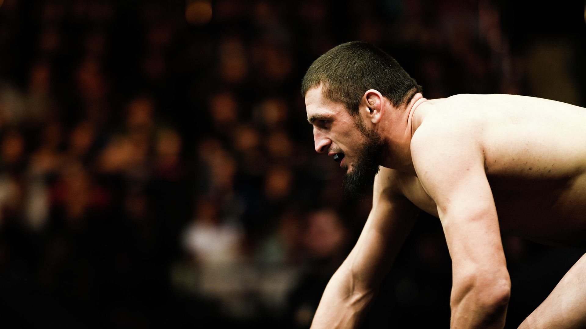 UFC Fight Night в Москве UFC Fight Night в Москве - РИА Новости, 1920, 05.09.2020