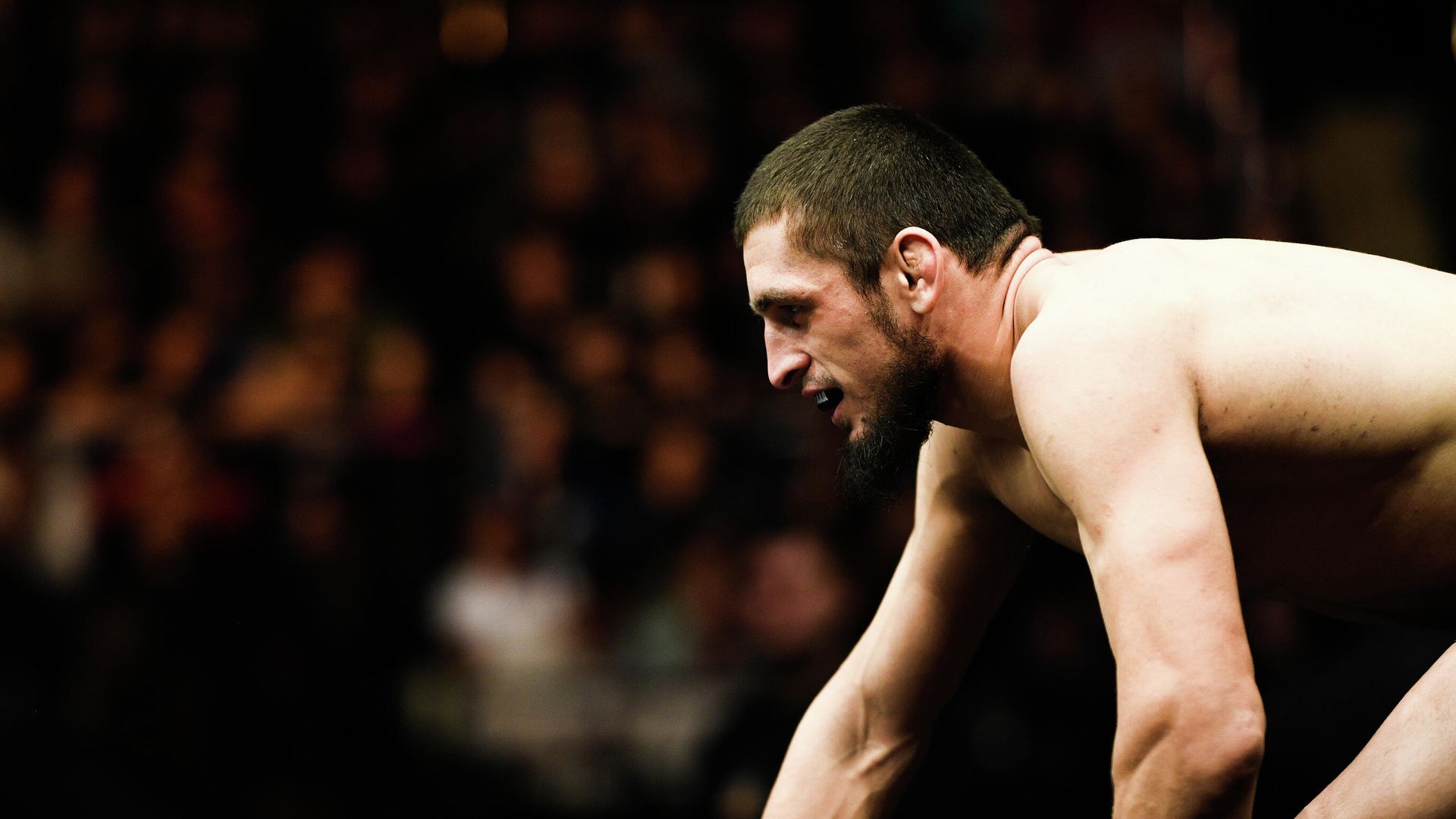 UFC Fight Night в Москве UFC Fight Night в Москве - РИА Новости, 1920, 06.09.2020