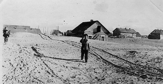 Вид поселка Шойна 60 лет назад Вид поселка Шойна 60 лет назад - РИА Новости, 1920, 05.09.2020