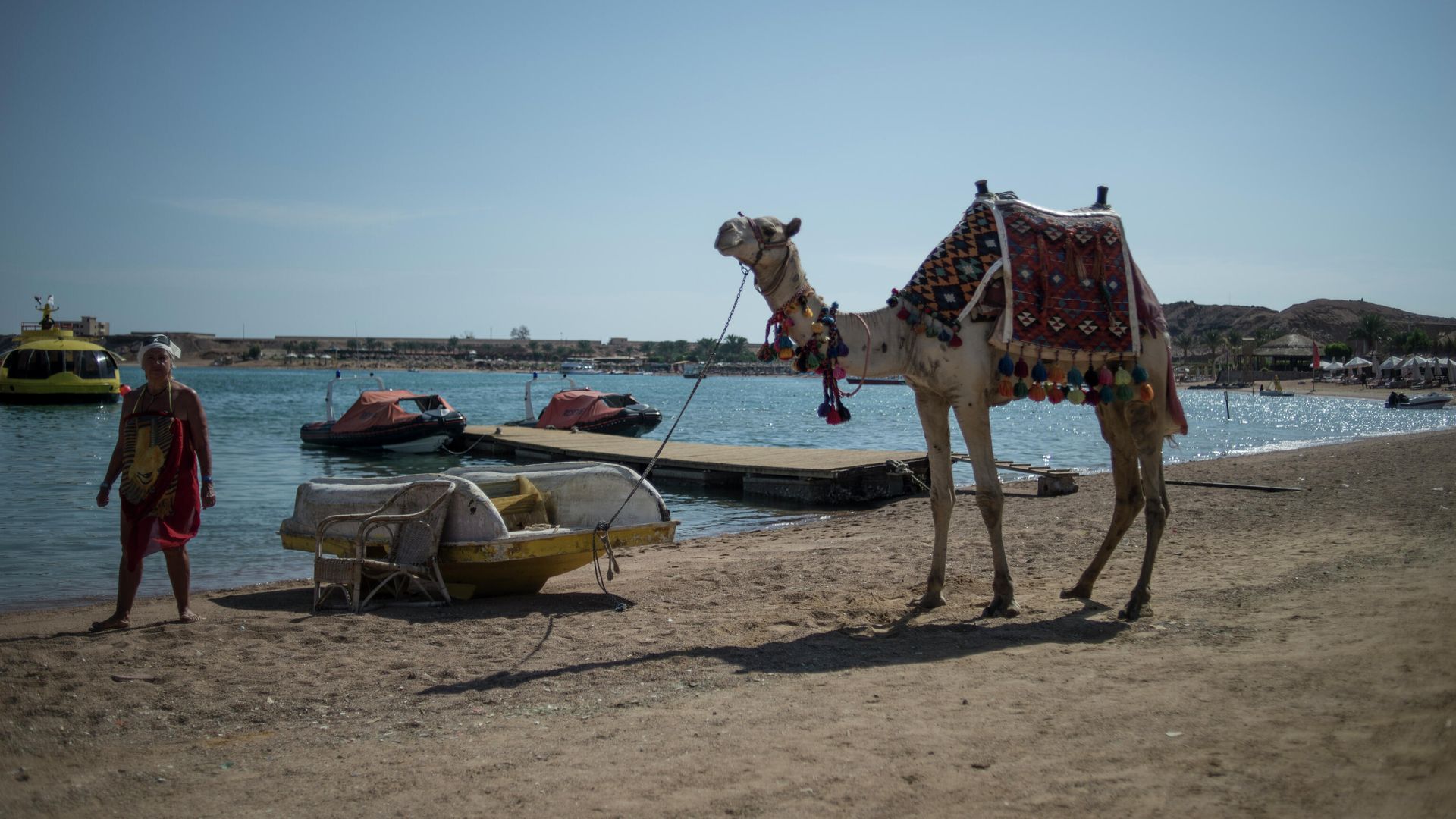 На территории одного из отелей Шарм-эш-Шейха На территории одного из отелей Шарм-эш-Шейха - РИА Новости, 1920, 28.10.2020