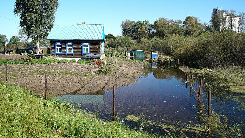 Последствия паводка в микрорайоне Красная речка в Хабаровске Последствия паводка в микрорайоне Красная речка в Хабаровске - РИА Новости, 1920, 12.09.2020