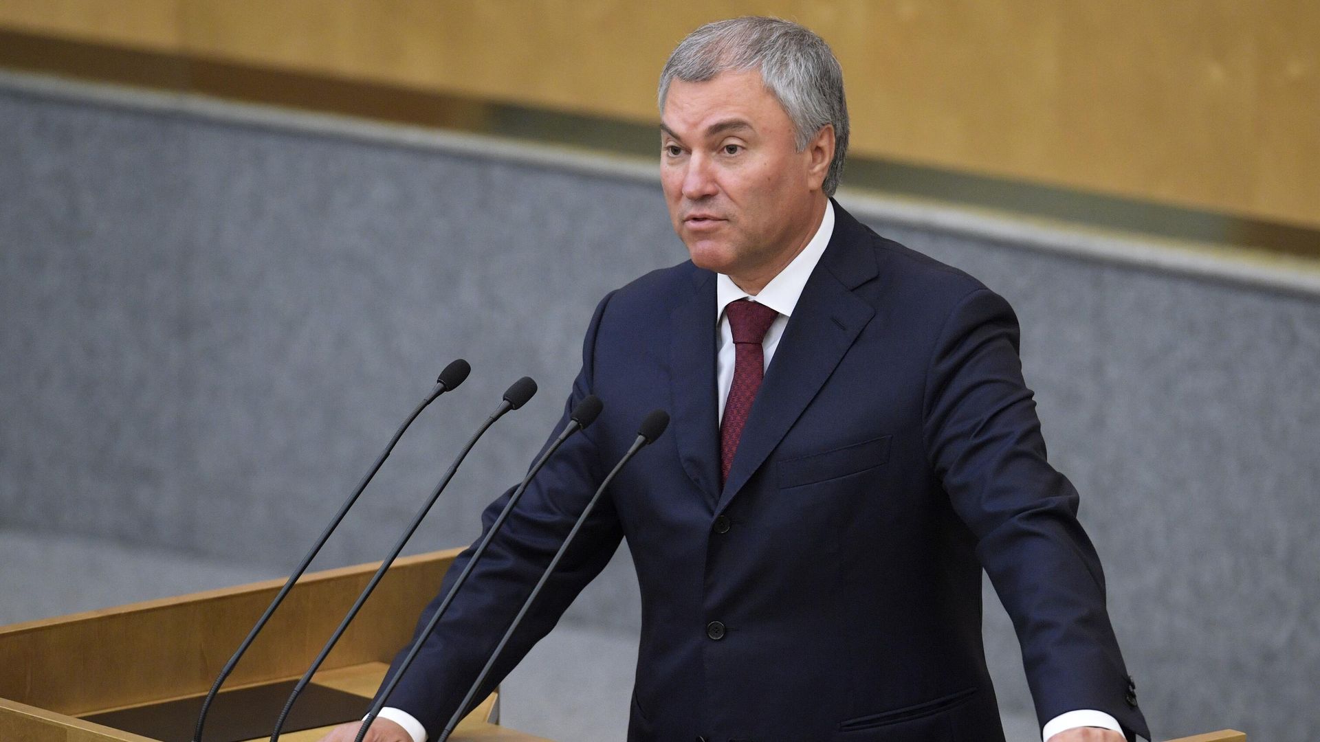 Председатель Государственной Думы РФ Вячеслав Володин выступает на пленарном заседании Государственной Думы РФ Председатель Государственной Думы РФ Вячеслав Володин выступает на пленарном заседании Государственной Думы РФ - РИА Новости, 1920, 14.10.2020