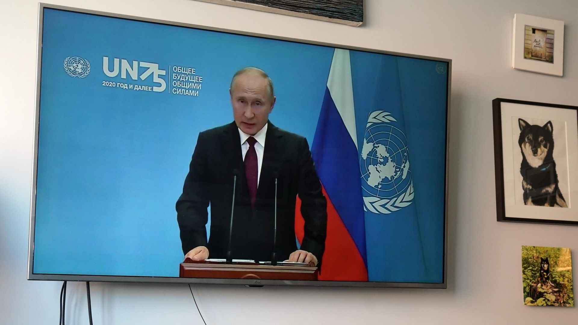 Фрагмент трансляции выступления президента РФ Владимира Путина с видеообращением на 75-й сессии Генеральной ассамблеи ООН Фрагмент трансляции выступления президента РФ Владимира Путина с видеообращением на 75-й сессии Генеральной ассамблеи ООН - РИА Новости, 1920, 05.04.2022