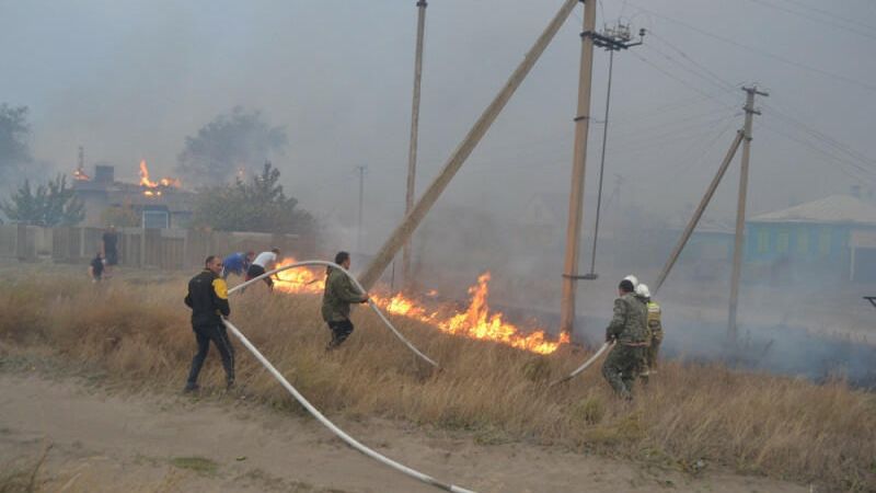 Пожар из-за упавшего на ЛЭП дерева в селе Николаевка Воронежской области - РИА Новости, 1920, 01.10.2020