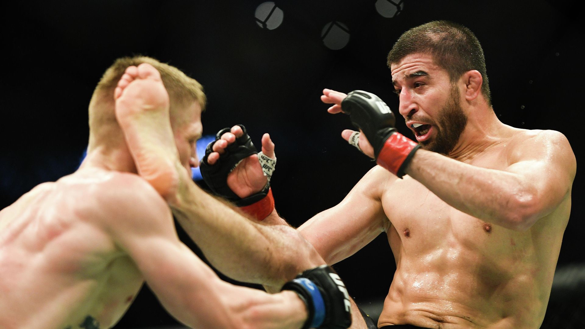 UFC Fight Night в Москве UFC Fight Night в Москве - РИА Новости, 1920, 02.10.2020