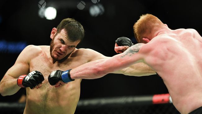 UFC Fight Night в Москве