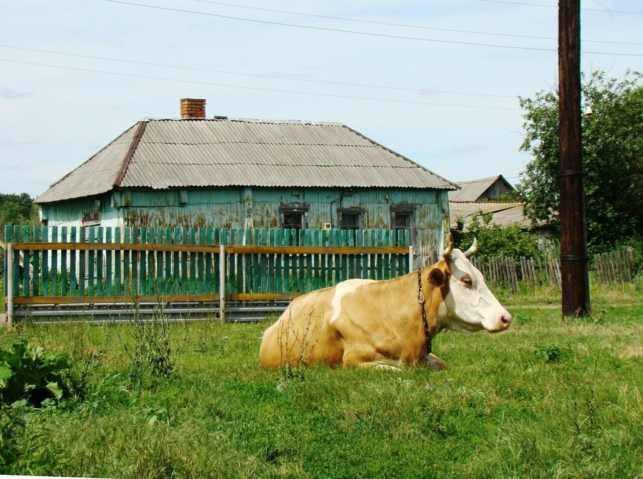 Село Жемчужино Село Жемчужино - РИА Новости, 1920, 02.10.2020