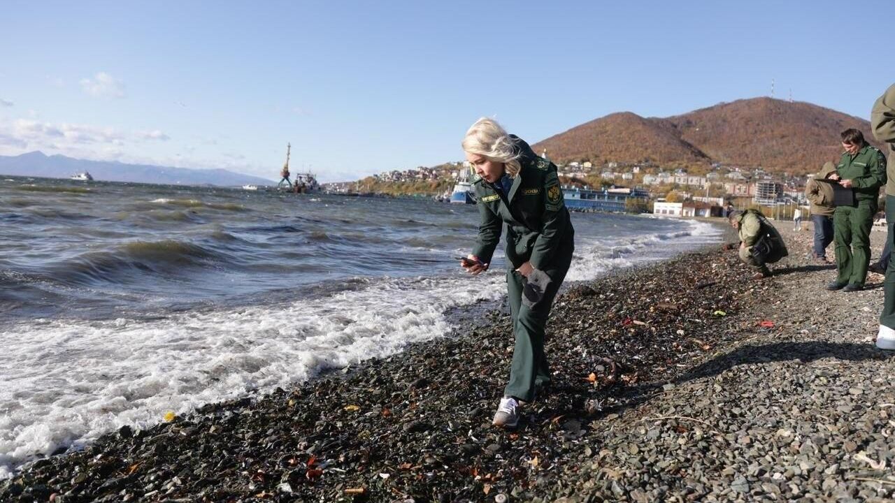 Глава Росприроднадзора Светлана Радионова на Камчатке Глава Росприроднадзора Светлана Радионова на Камчатке - РИА Новости, 1920, 13.10.2020