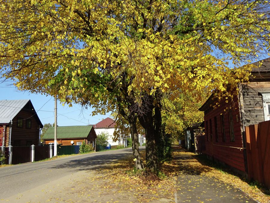Осень на Советской улице