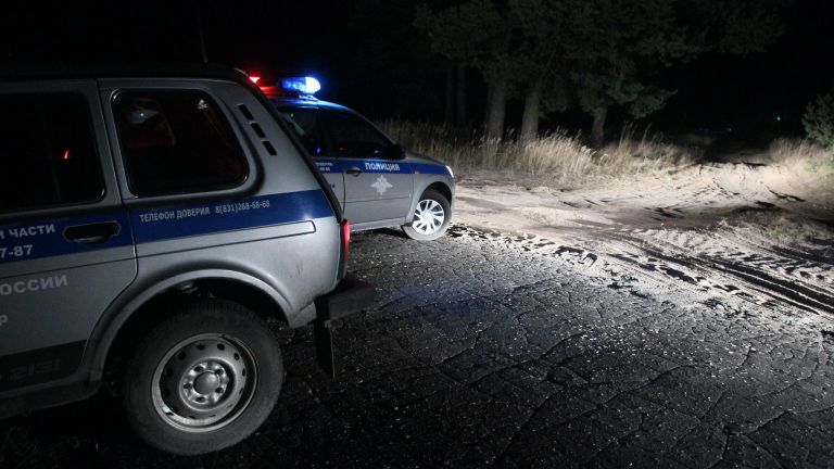 Полицейские автомобили на автобусной остановке в поселке Большеорловский в Нижегородской области, где неизвестный устроил стрельбу