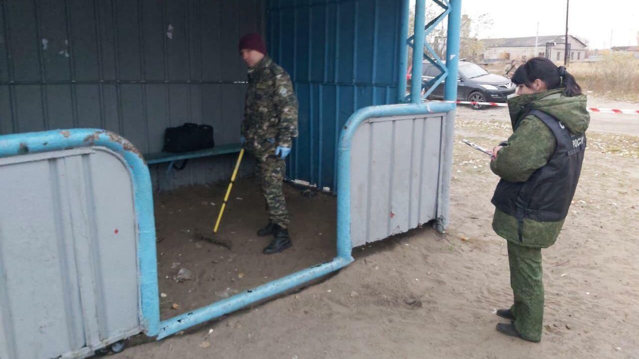 Следователи на месте стрельбы в поселке Большеорловское Нижегородской области - РИА Новости, 1920, 13.10.2020