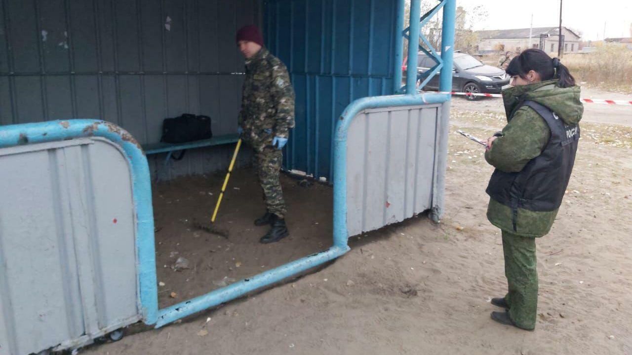 Следователи на месте стрельбы в поселке Большеорловское Нижегородской области Следователи на месте стрельбы в поселке Большеорловское Нижегородской области - РИА Новости, 1920, 13.10.2020