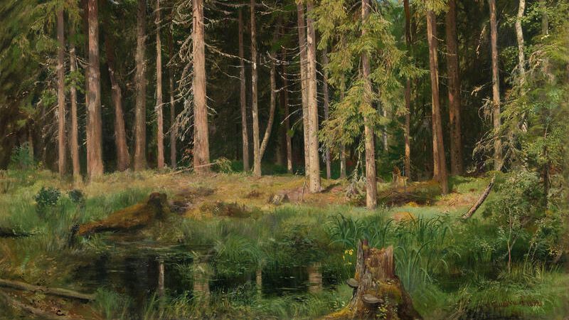 Иван Шишкин Сосновый лес Иван Шишкин Сосновый лес - РИА Новости, 1920, 16.10.2020