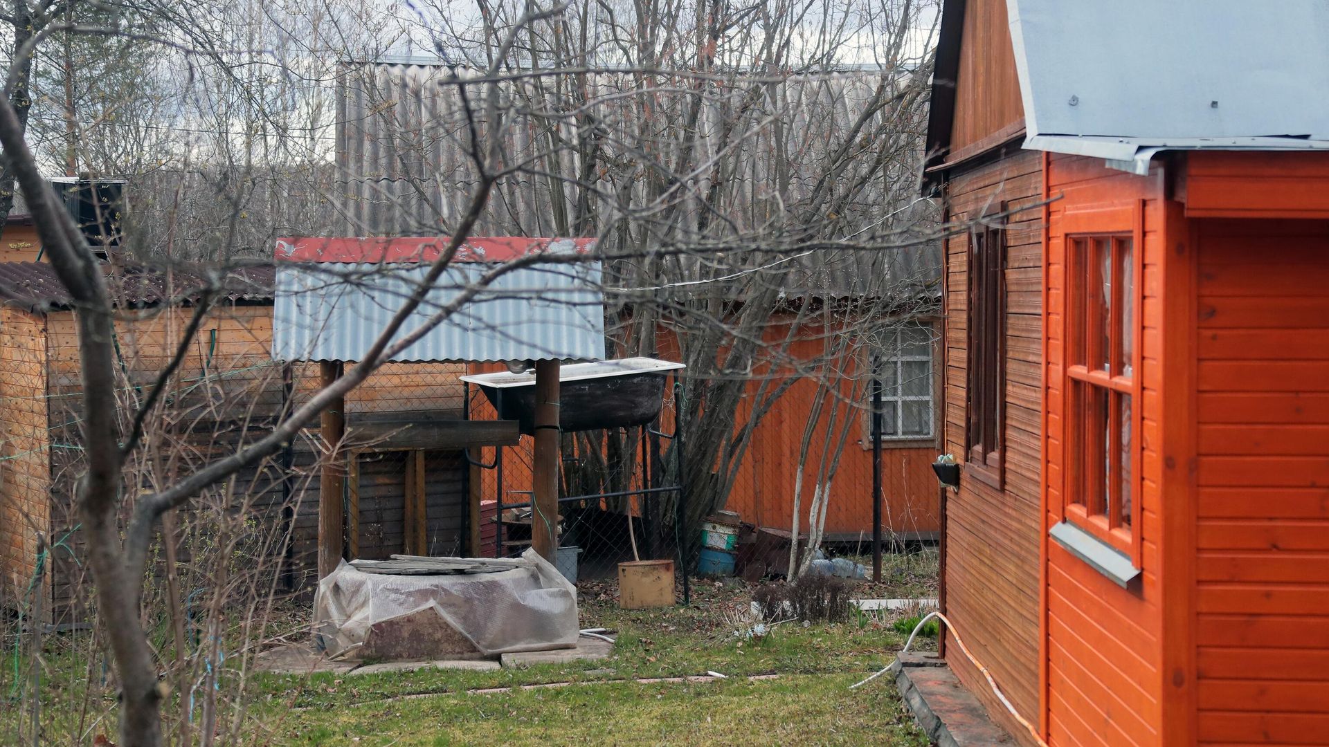 Садовый участок в СНТ Садовый участок в СНТ - РИА Новости, 1920, 22.10.2020