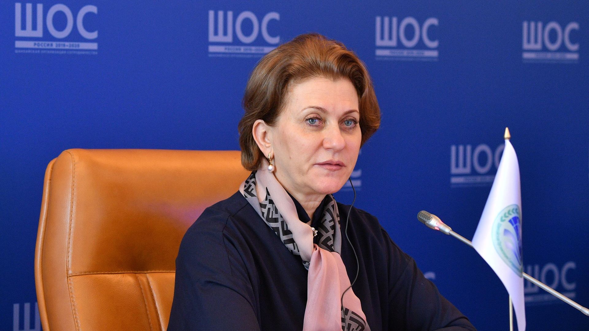 Руководитель Федеральной службы по надзору в сфере защиты прав потребителей, главный государственный санитарный врач Российской Федерации Анна Попова Руководитель Федеральной службы по надзору в сфере защиты прав потребителей, главный государственный санитарный врач Российской Федерации Анна Попова - РИА Новости, 1920, 06.11.2020