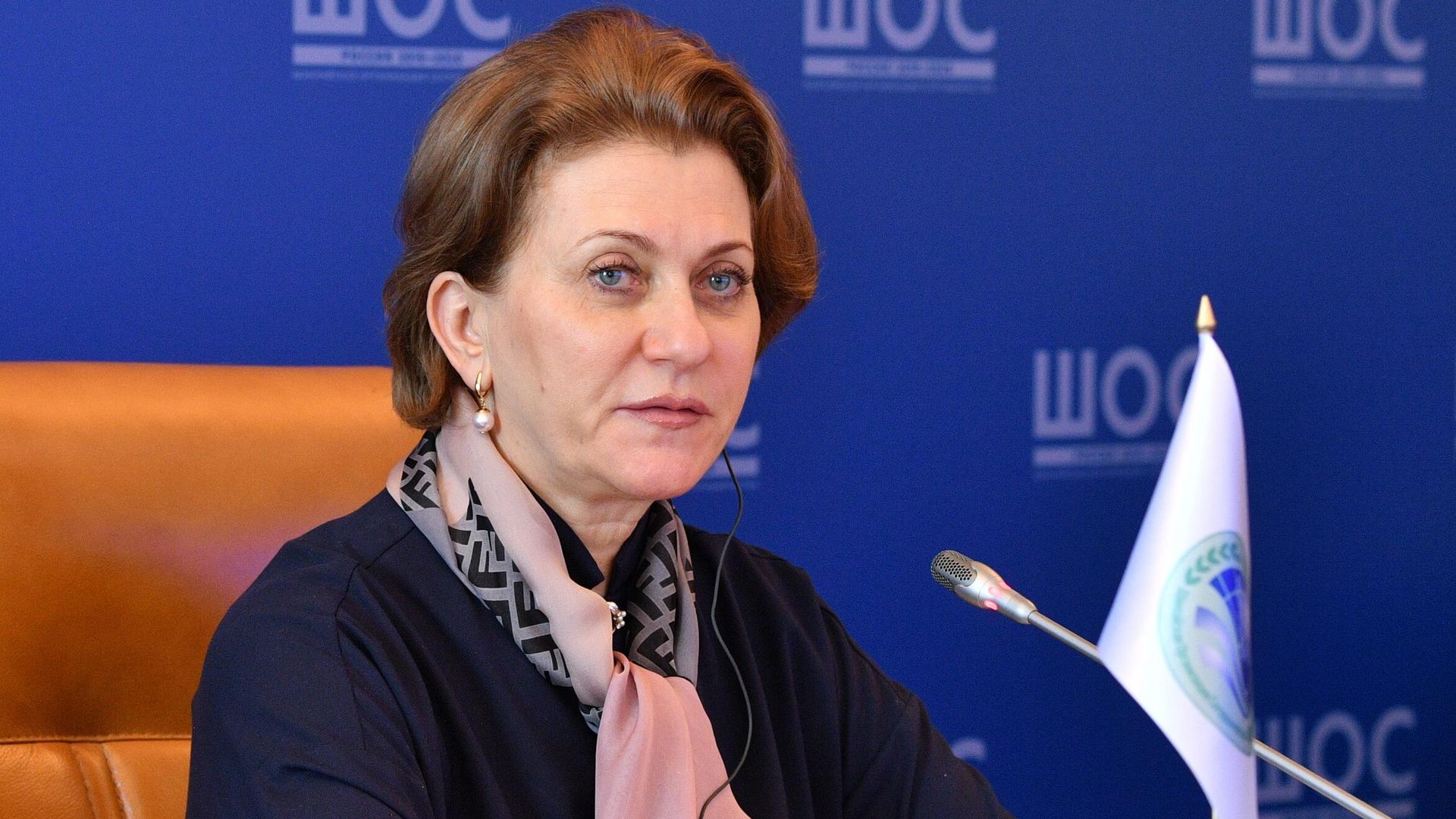Руководитель Федеральной службы по надзору в сфере защиты прав потребителей, главный государственный санитарный врач Российской Федерации Анна Попова - РИА Новости, 1920